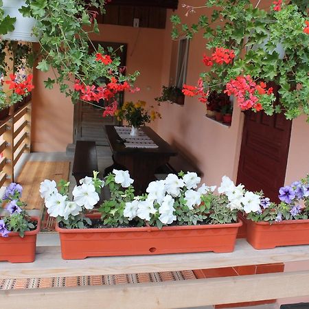 Villa Casa Andreia Gura Humorului Exterior foto