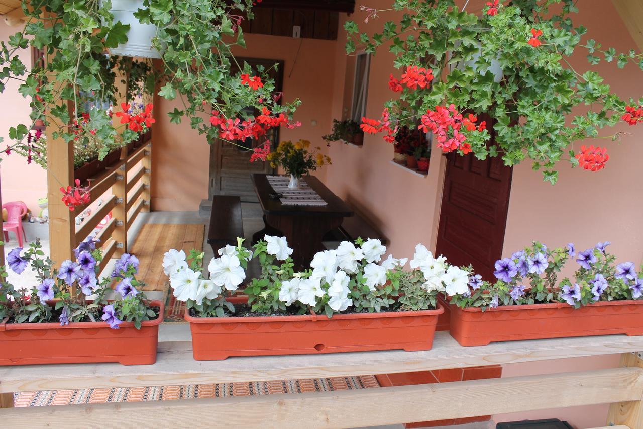 Villa Casa Andreia Gura Humorului Exterior foto